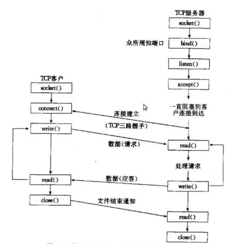 TCP/UDP 编程模型