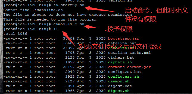 image-20220822102326689