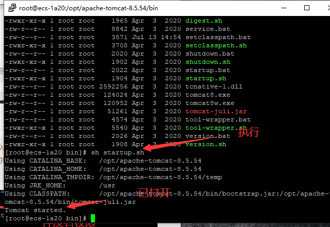 image-20220822102437301