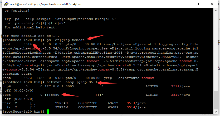 image-20220822102746135