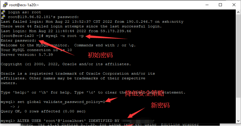image-20220822140222070