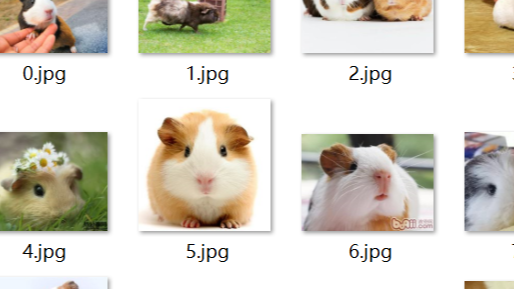 爬虫进阶-python爬虫爬取百度图片