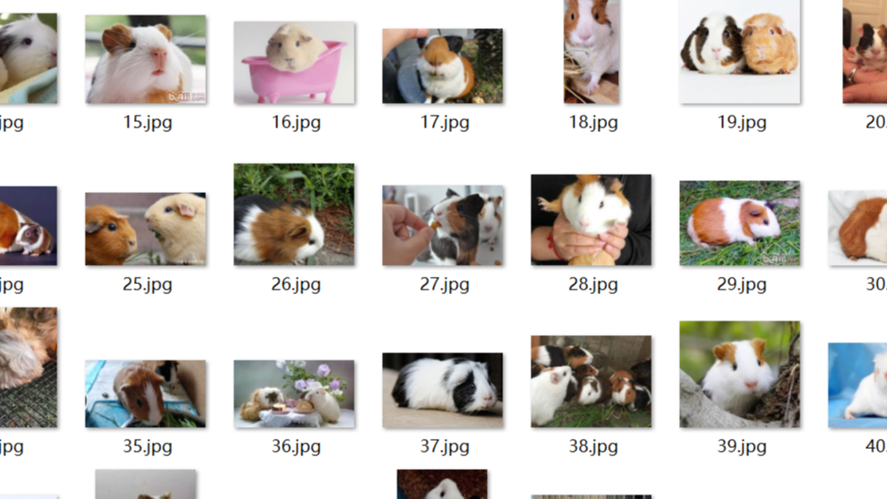 爬虫进阶-爬虫爬取百度图片（二）
