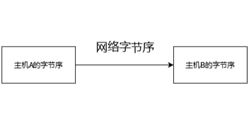 网络字节序与主机字节序的转换函数实践