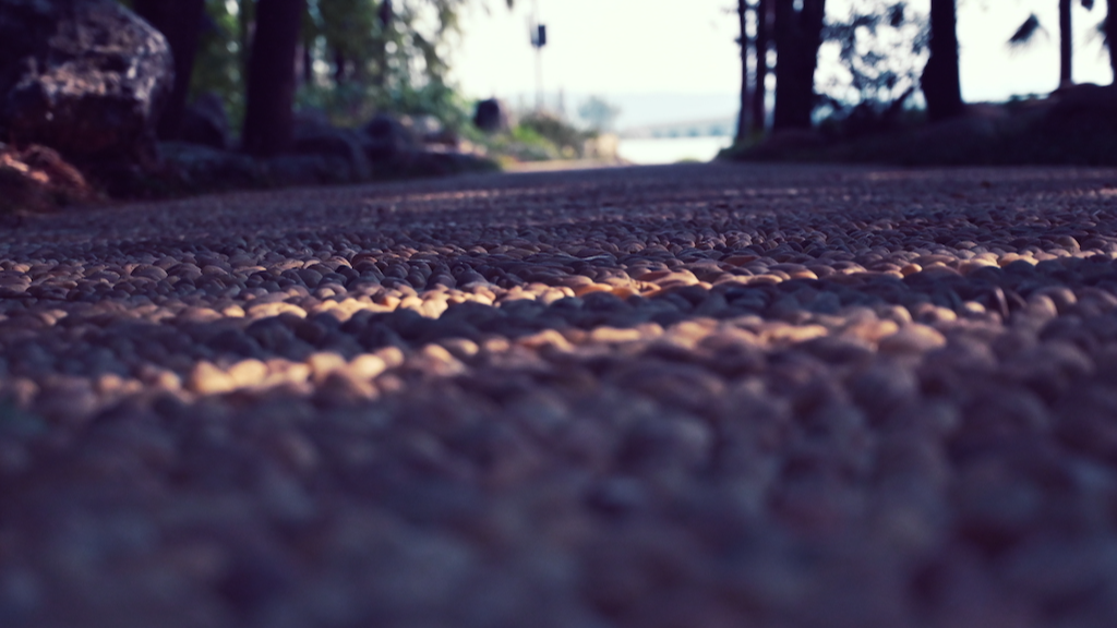 第三周，都讲了些什么？