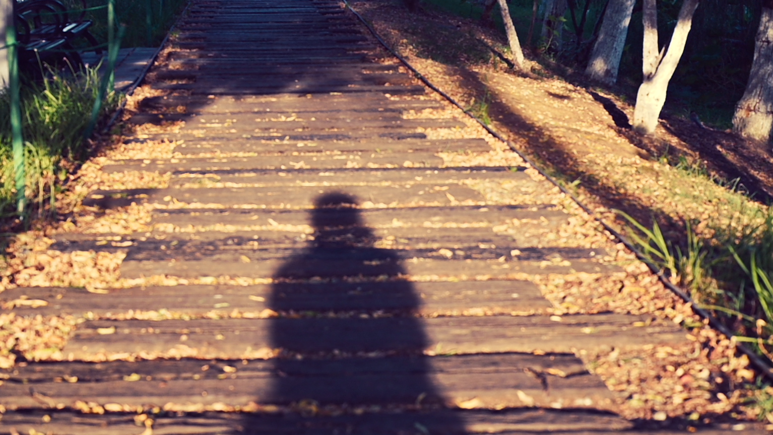 Java注解(1):码农的小秘