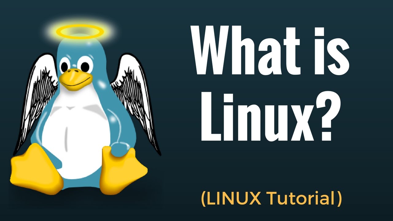 Linux基础-查看和设置环境变量