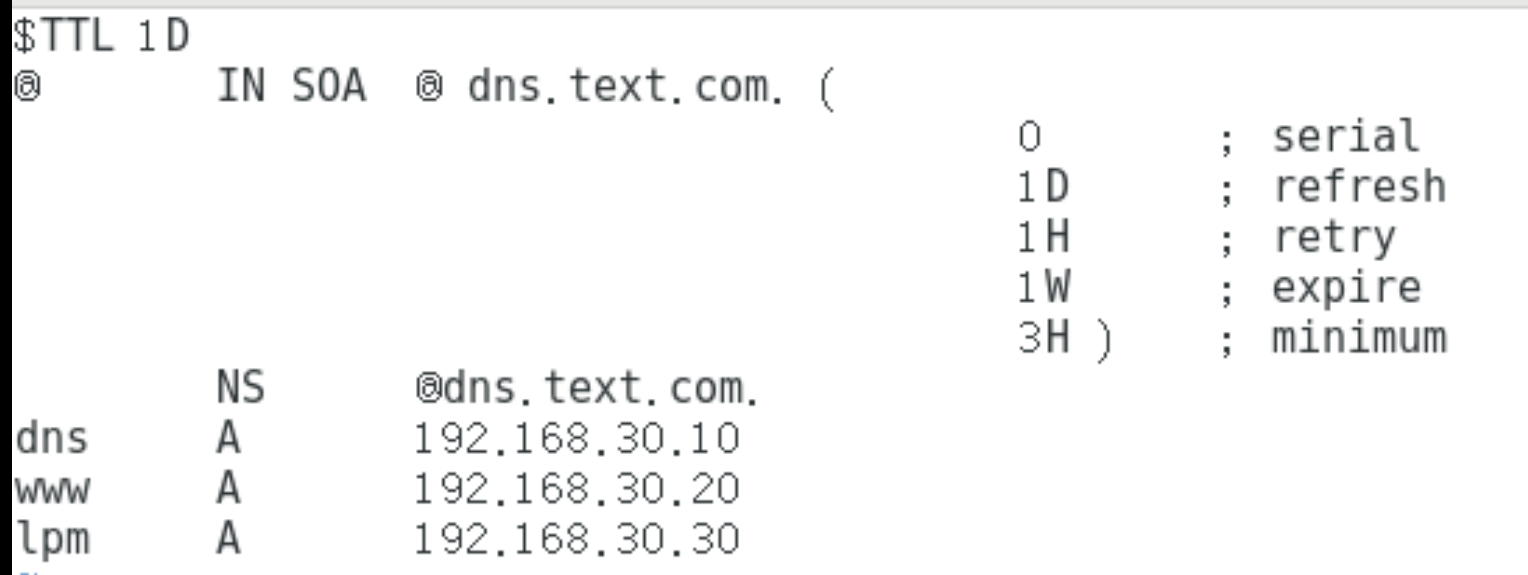 配置DNS域名解析服务