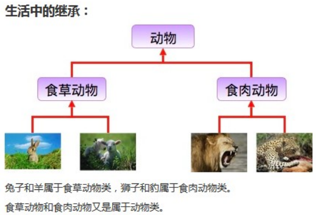 小新学Java6-【继承、super、this、抽象类】 - 小新好好学Java - 博客园