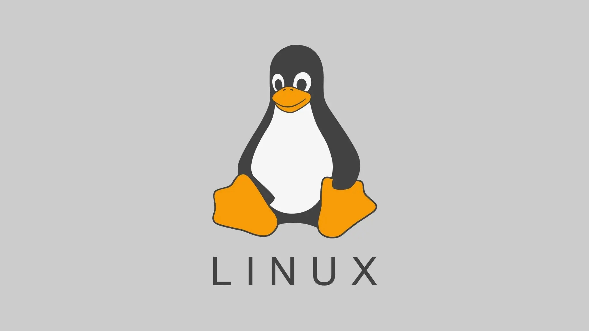 linux如何修改dns