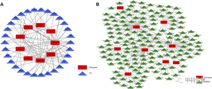 4 非常经典的hub基因鉴定路线 一起生信分析 博客园