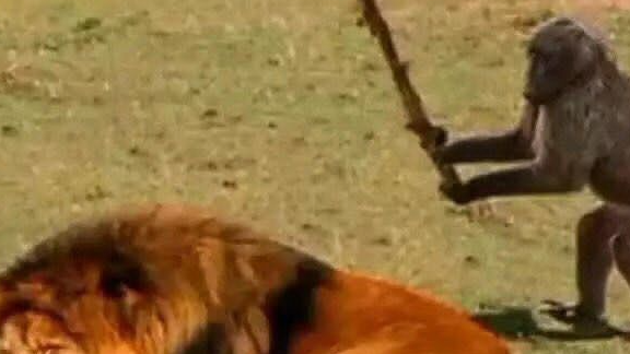 二叉树交换左右子树递归以及非递归算法