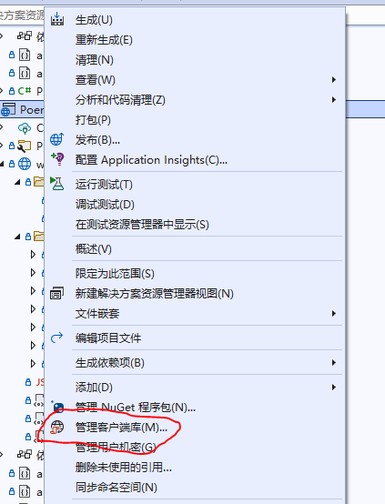 使用Visual Studio 2022开发前端 