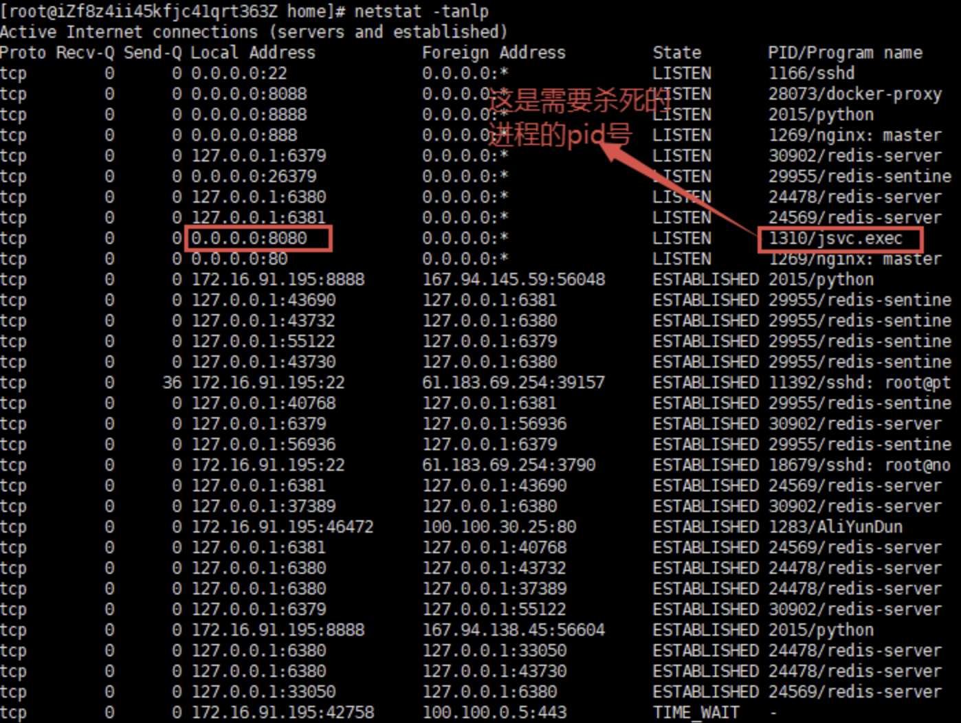 What Is Userland Proxy