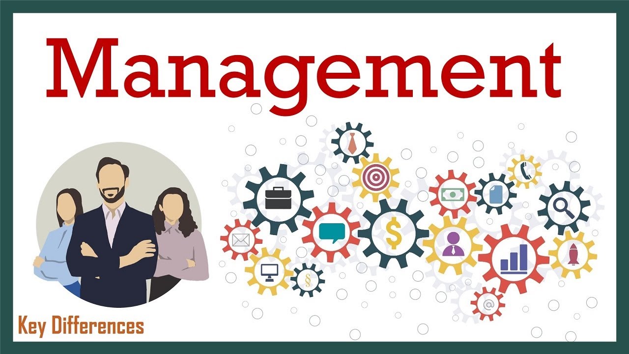 What is Management? Definition, Characteristics, Levels and Importance -  YouTube