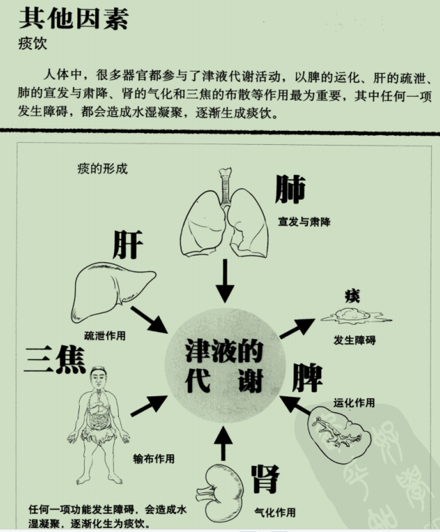 漫画中医基础篇罗大伦病因学说