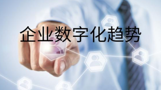 中国企业数字化新趋势：扩展数字化领域而非固化流程