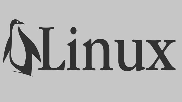 Linux使用netstat查看网络状态