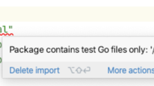 Package contains test Go files only: