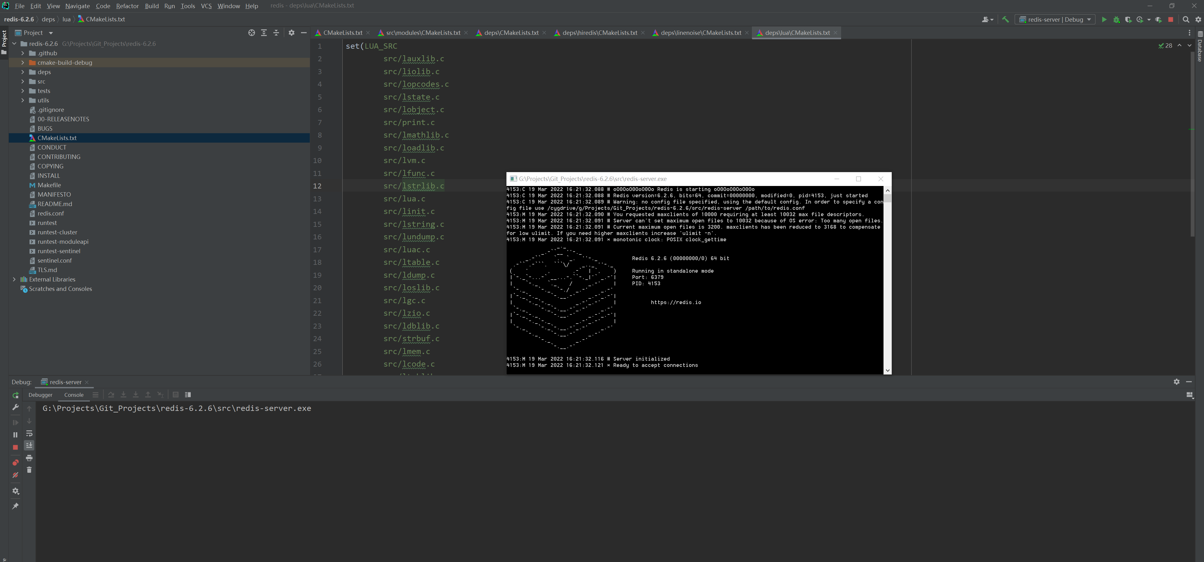 redis6.0调试CLion运行示意图