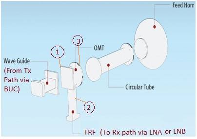 OMT vs TRF