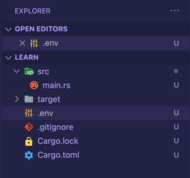 EXPLORERv OPEN EDITORSx .envv LEARNv src@ main.rstargeth! env.gitignoreCargo.lockCargo.toml 