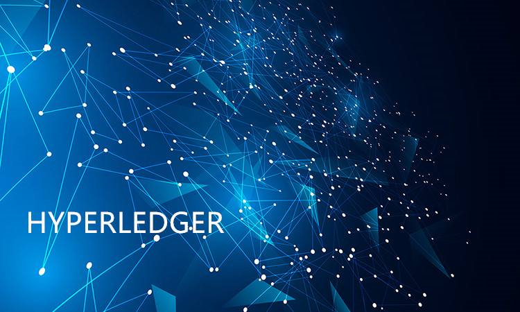 Hyperledger Fabric 核心概念